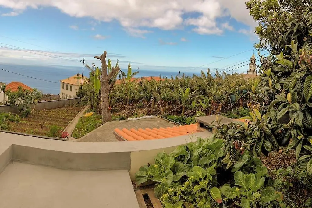 Typical Farm Apartment Arco da Calheta