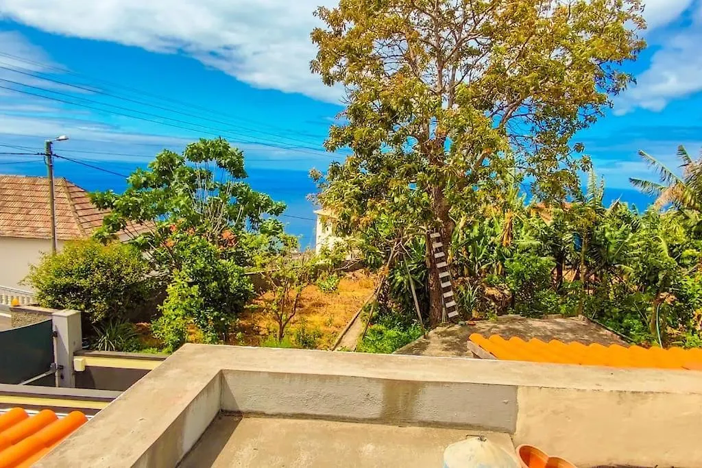 Typical Farm Apartment Arco da Calheta  Arco da Calheta (Madeira)