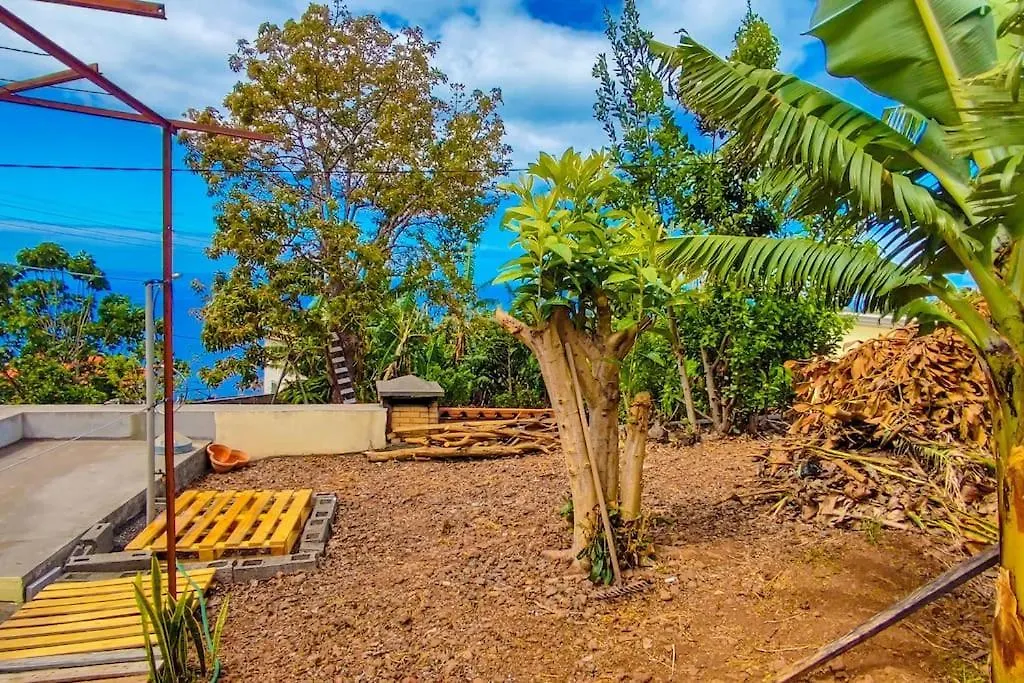 Typical Farm Apartment Arco da Calheta  Portugal