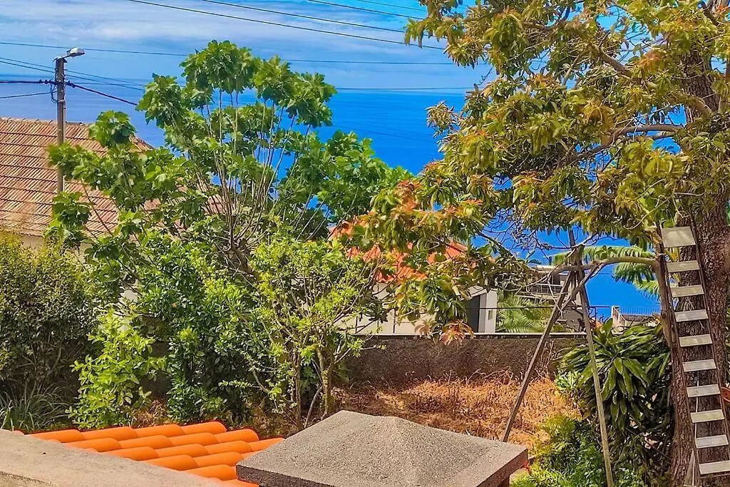 Typical Farm Apartment Arco da Calheta  0*, Arco da Calheta (Madeira) Portugal
