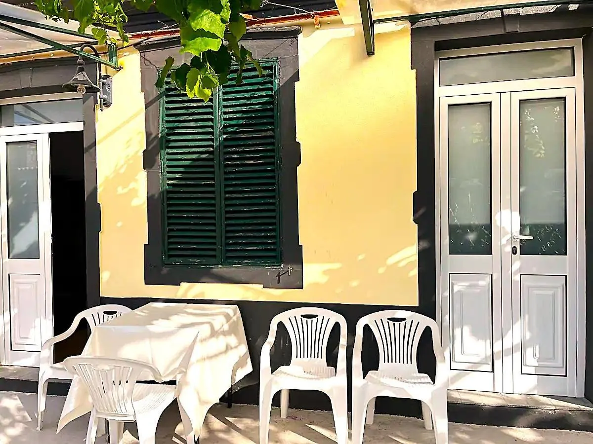 Typical Farm Apartment Arco da Calheta